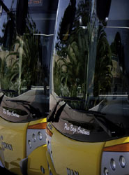 Las matriculaciones de autobuses de más de 3,5 toneladas crecieron un 3,9% en enero.