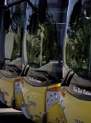 Buses de transporte de viajeros iterubrnoa.