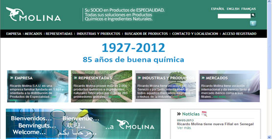 Página web de la empresa de distribución de servicios químicos Ricardo Molina.