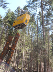 ITENE participa en un proyecto que busca optimizar la log&iacute;stica forestal en las zonas de monta&ntilde;a