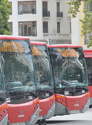 EMT Valencia tendrá 41 nuevos autobuses.