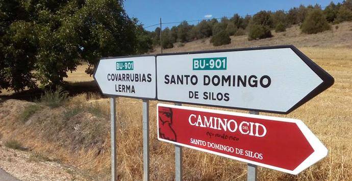 Castilla y León invierte 4,2 millones de euros en obras de señalización horizontal y seguridad vial