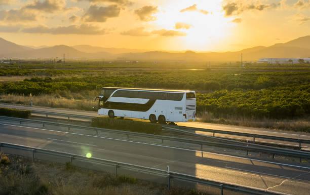 Las nuevas líneas interurbanas de Aragón se pondrán en marcha este año