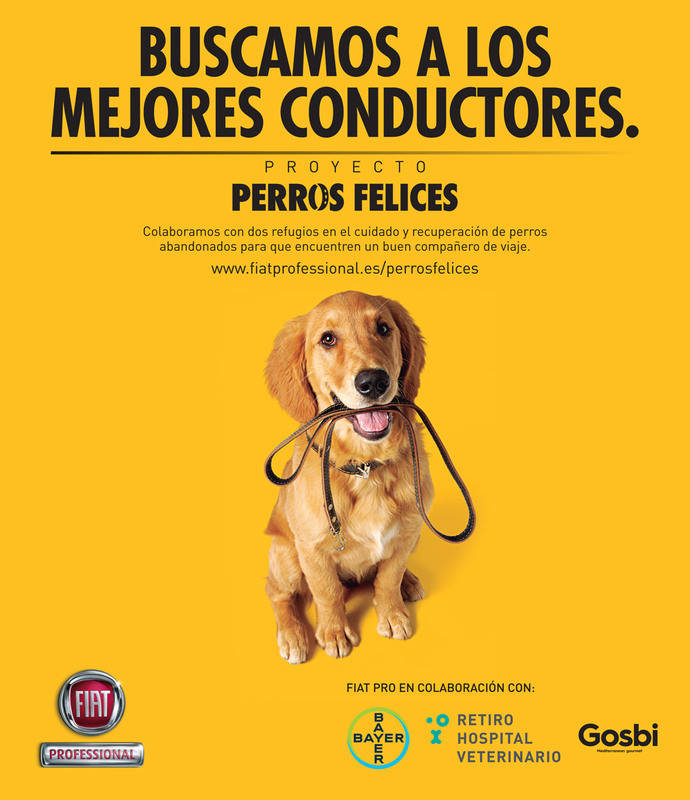 Cartel del proyecto Perros Felices.
