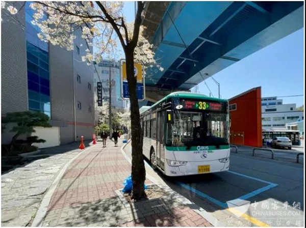Los autobuses el&#233;ctricos King Long ganan popularidad en Corea del Sur