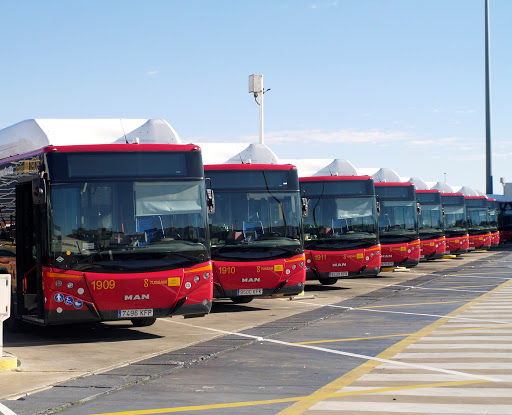 Tussam licita el suministro de 70 nuevos autobuses por casi 30 millones