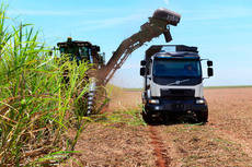 Camión Volvo recogiendo caña de azúcar en Brasil