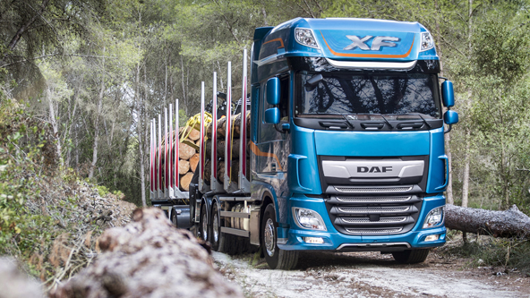 Un camión de transporte de troncos utiliza las cinchas de TRP para asegurar su carga.