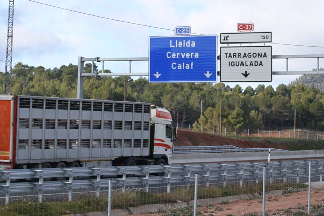 Un camión circulando por una carretera catalana.