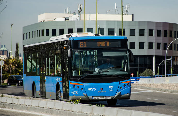 La autobús de la línea 81, una de las afectadas por la reordenación.