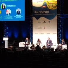 Mesa redonda: 'La visión de las Comunidades Autónomas españolas sobre la implantación del gas renovable'.