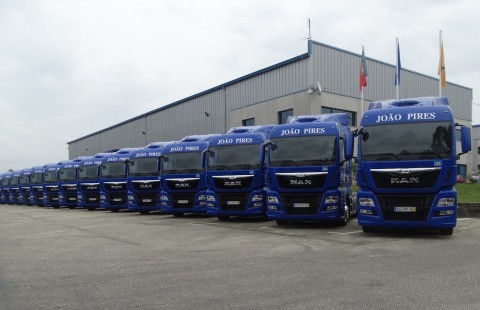 Flota de camiones de una empresa de transporte.