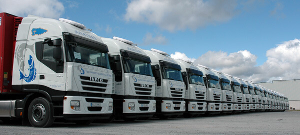 Varios camiones de una empresa de transporte.