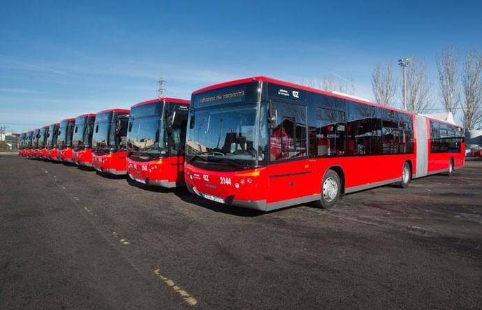 Varios autobuses del Consorcio de Transportes de Zaragoza.