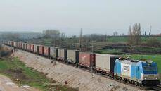 España participa en dos corredores ferroviarios plenamente operativos de los nueve definidos a nivel europeo.