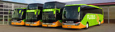 Autobuses de Flixbus.