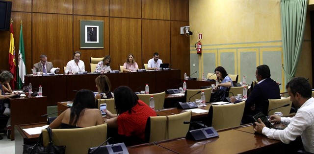 Comisión parlamentaria de Andalucía.
