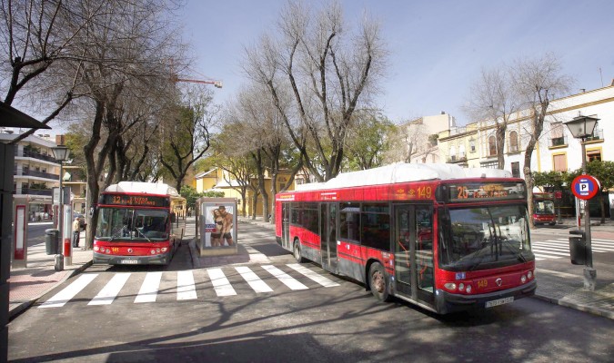 Autobuses urbanos de la ciudad de Sevilla.