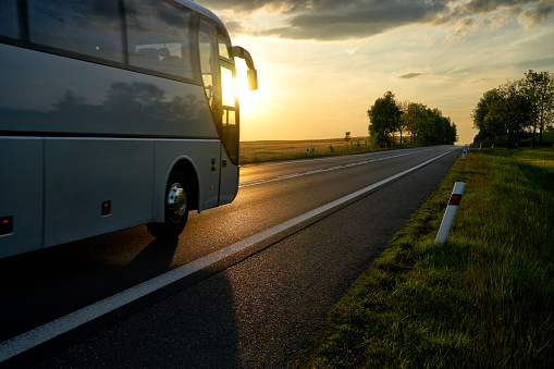 Anetra insta al Gobierno a incentivar más el transporte discrecional