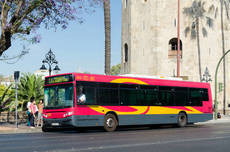 Los autobuses de Sevilla vuelven a la frecuencia previa al Covid-19