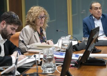 Euskadi consolidará en 2026 la gratuidad del transporte público hasta los 12 años