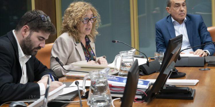 Euskadi consolidará en 2026 la gratuidad del transporte público hasta los 12 años