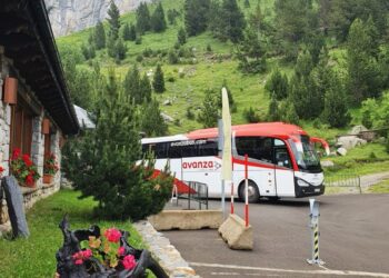 Avanza transportó a más de 208 millones de personas en 2023