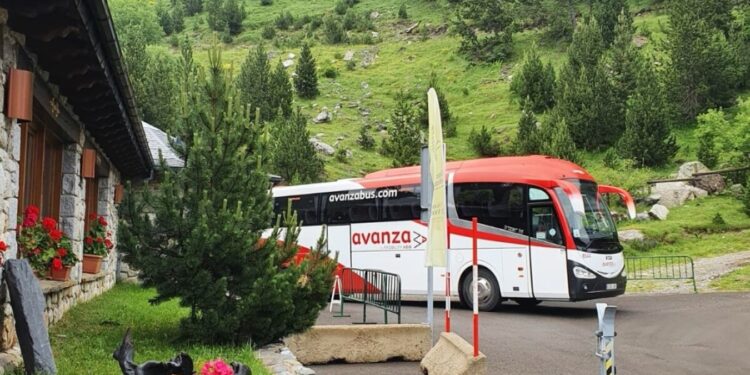 Avanza transportó a más de 208 millones de personas en 2023