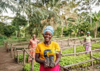 Cargoboard impulsa 80.000 envíos sostenibles y refuerza su contribución climática