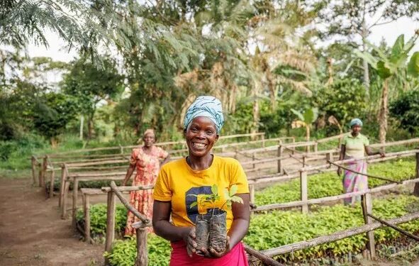 Cargoboard impulsa 80.000 envíos sostenibles y refuerza su contribución climática