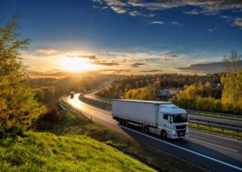 La Unión Europea necesita un enfoque integral en combustibles limpios