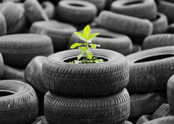 El reciclaje de neumáticos en España evita 1,38 millones de toneladas de CO₂ al año,