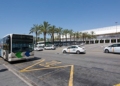 Empresa Municipal de Transportes de Palma aprueba 150 nuevas plazas de conductor