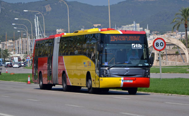 Baleares y Murcia disparan las matriculaciones de autobuses en febrero