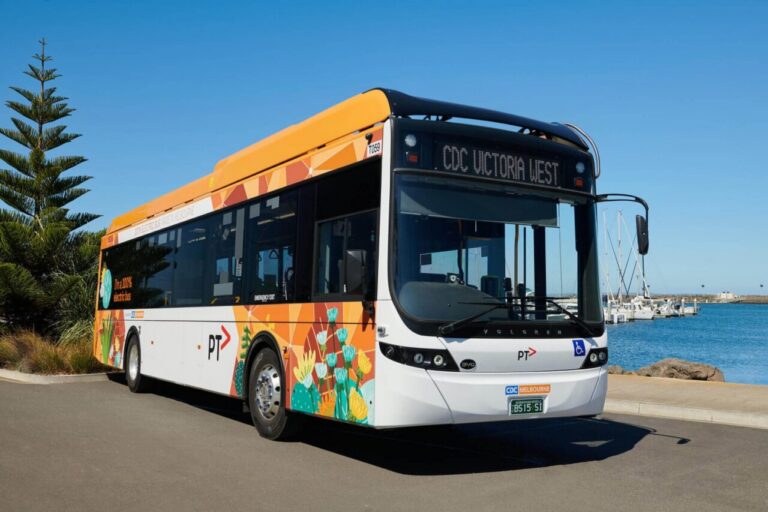 Autobús de CDC Victoria West decorado, estacionado junto a una marina bajo cielo despejado