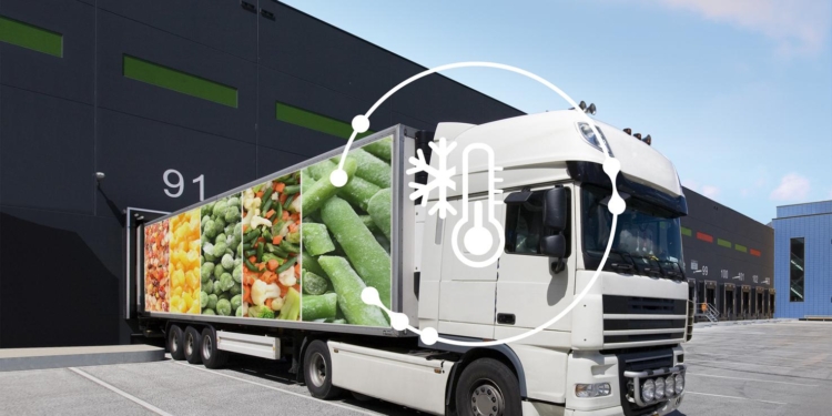 Webfleet Cold Chain, una ayuda con la temperatura correcta