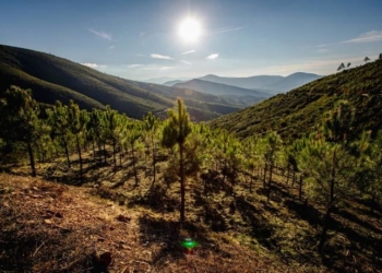 Un aire limpio hacia un impacto ambiental y sanitario cero