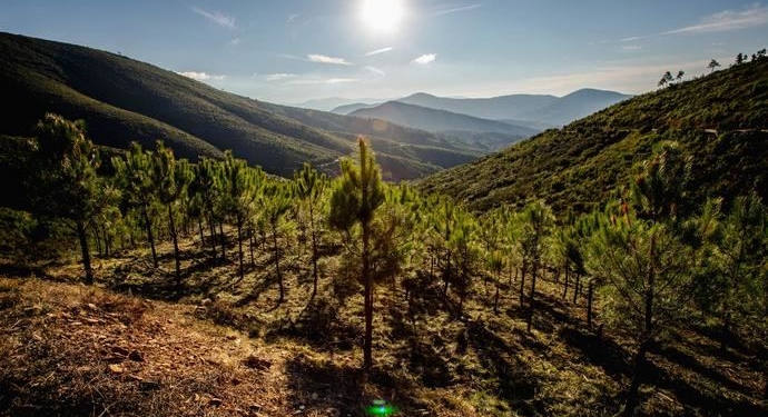 Un aire limpio hacia un impacto ambiental y sanitario cero