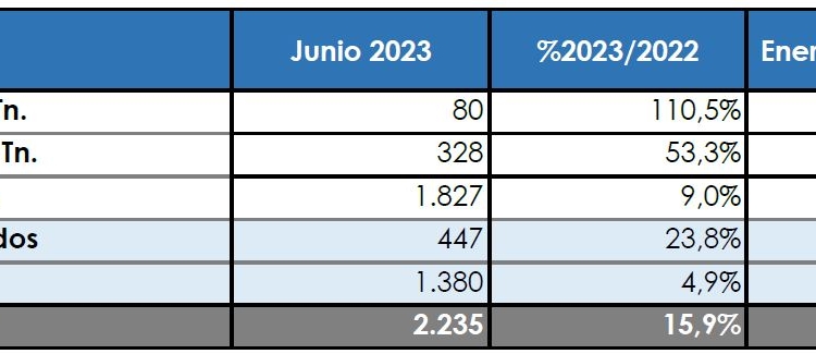 Primer semestre más que positivo para las matriculaciones
