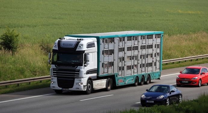 El Gobierno facilitará el canje de permisos de conducir marroquíes