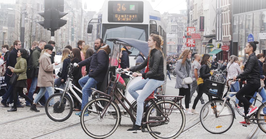 Análisis de la estrategia Carbono Cero