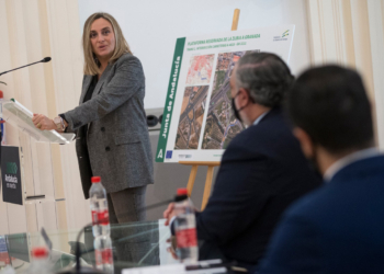 Nueva plataforma reservada de acceso a la ciudad de Granada