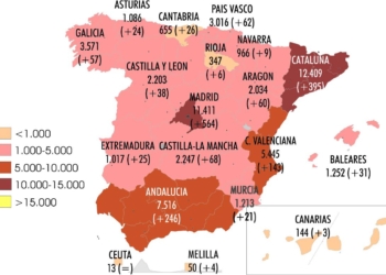 El Sector ha perdido un 15% de sus tarjetas de Ligero este año