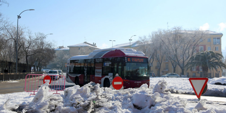 Toledo se afana en recuperar la normalidad después del temporal