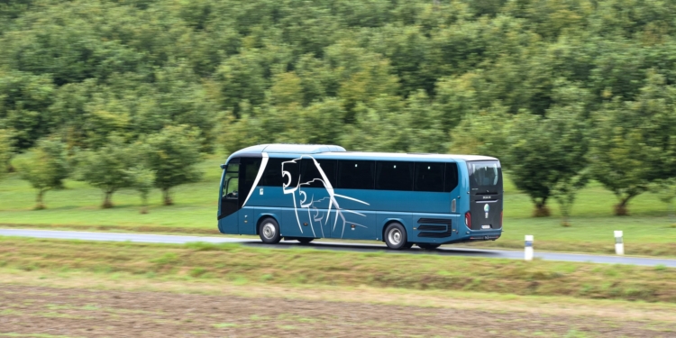 El autocar MAN Lion’s Coach elegido ‘Coach of the Year 2020’