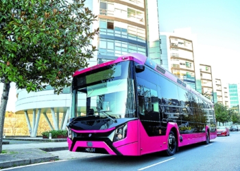 Directa: El Nelec de Castrosua cumple su primer aniversario en el mercado