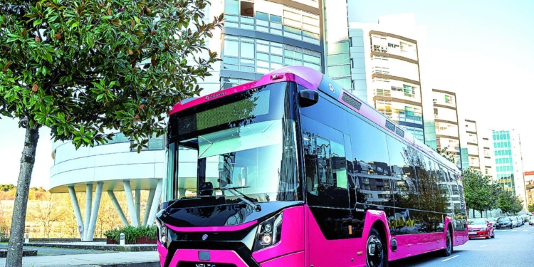 Directa: El Nelec de Castrosua cumple su primer aniversario en el mercado