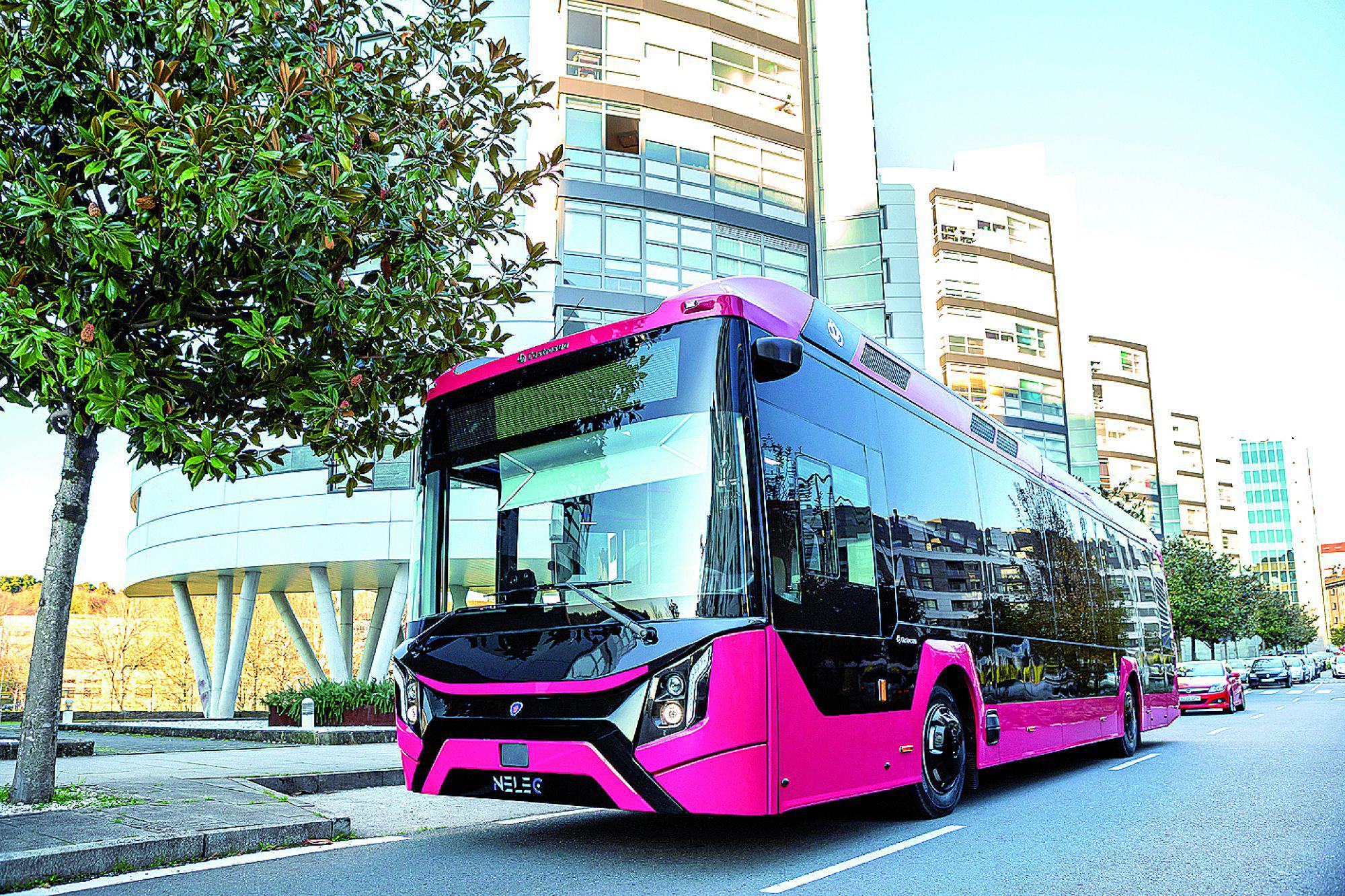 Directa: El Nelec de Castrosua cumple su primer aniversario en el mercado