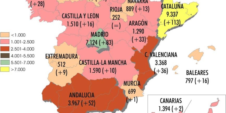 Se mantiene el crecimiento de las empresas de ligero