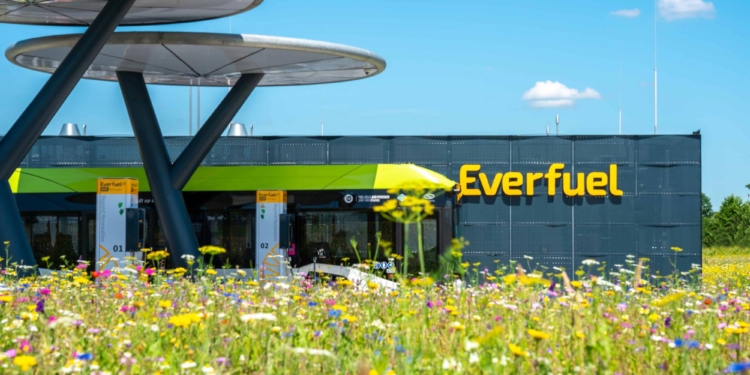 Dinamarca y el hidrógeno, ¿se repetirá en otros países?